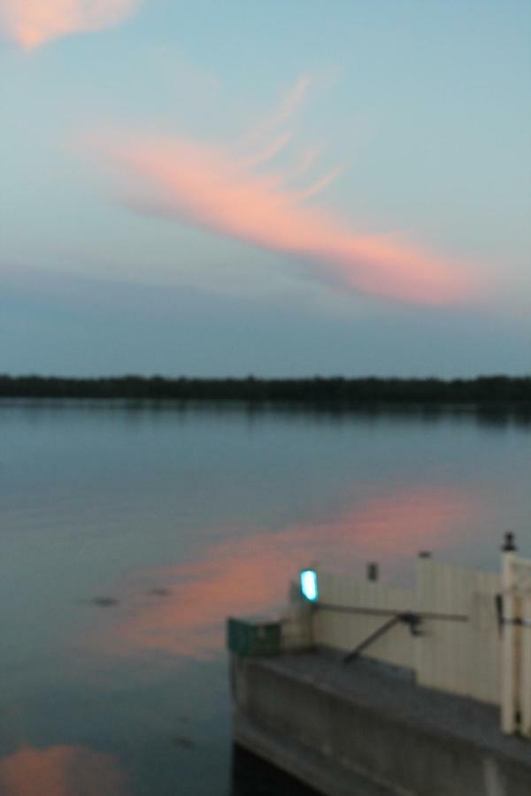 Presqu'ile View Bed&Breakfast Brighton Exterior foto